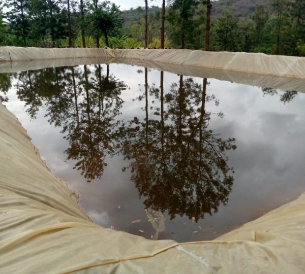 Water Harvesting