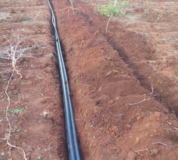 irrigation Pipes